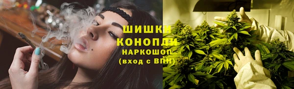 ПСИЛОЦИБИНОВЫЕ ГРИБЫ Арсеньев