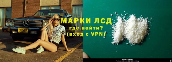 ПСИЛОЦИБИНОВЫЕ ГРИБЫ Арсеньев
