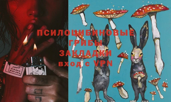 ПСИЛОЦИБИНОВЫЕ ГРИБЫ Арсеньев