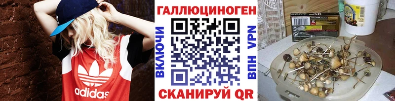 где купить   Бабушкин  Псилоцибиновые грибы мухоморы 